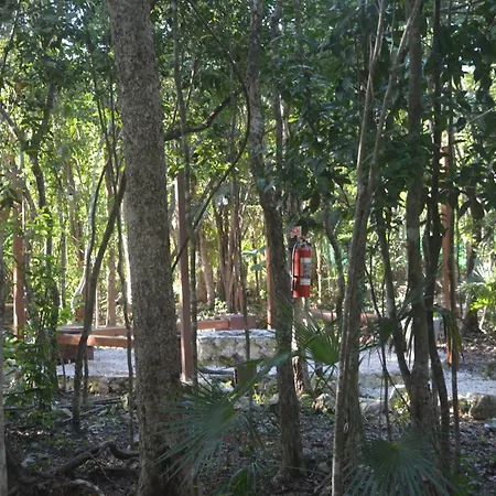 Glamping Mayan Glam